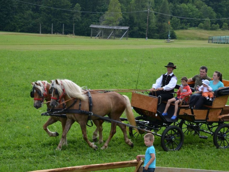 Druženje